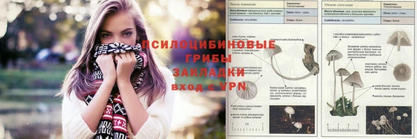шишки Навашино