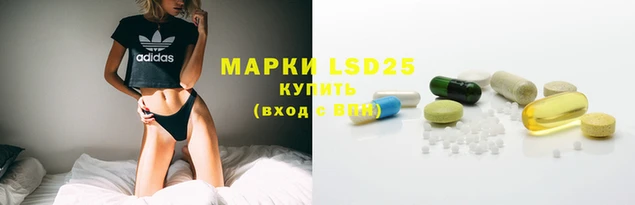 PSILOCYBIN Мурманск